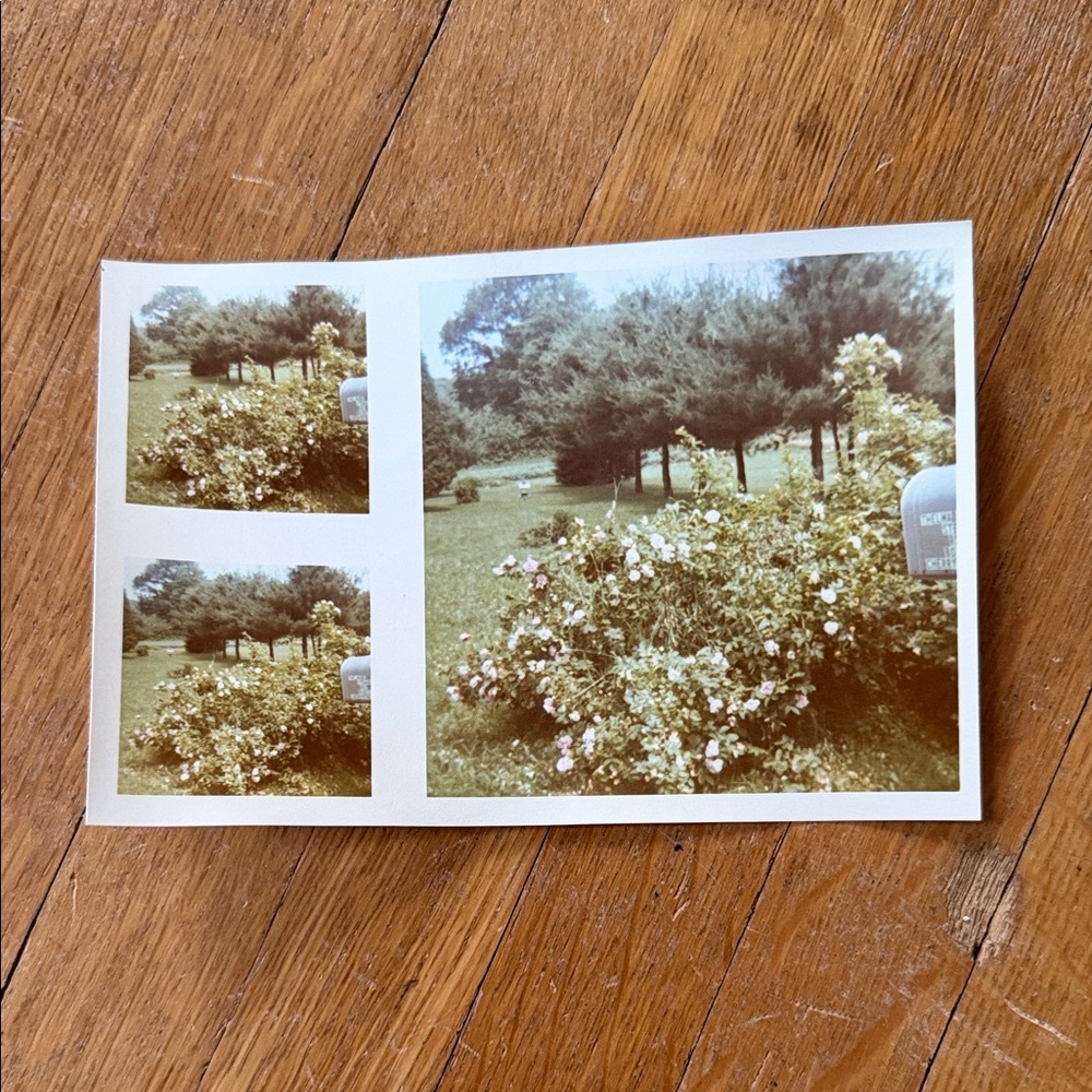 Vintage Photo Collection - Picture 8 of 11